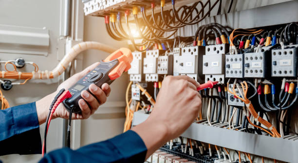 Best Affordable Electrician  in Willow Oak, FL