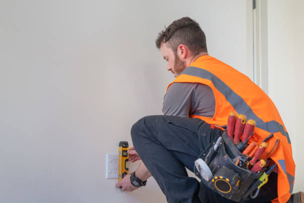 Best Licensed Electrician  in Willow Oak, FL